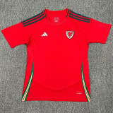 2024 Wales Home Fans Soccer Jersey