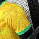 25-26 Brazil Christ statue Yellow  Player Version Soccer Jersey