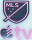 MLS +TV (专用色+章下粉TV)印左袖