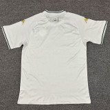 2025 Tunisia White Special Edition  Fans Soccer Jersey