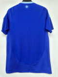 24/25 Argentina Away  Fans Soccer Jersey（V领）