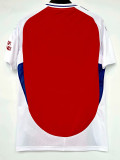 24/25 ARS Home 1:1 Fans Soccer Jersey