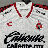 25/26 Tijuana Away Fans Soccer Jersey