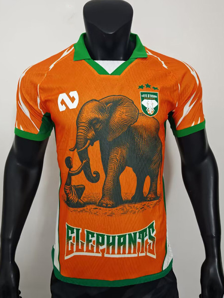 25/26 Ivory Coast Orange Special Edition Player Version Soccer Jersey