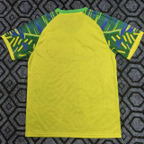 25-26 Brazil Goddess & Coconut Tree Fans Soccer Jersey