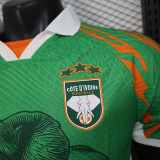 25/26 Ivory Coast Green Special Edition Player Version Soccer Jersey