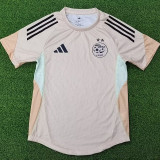 25/26 Algeria Khaki Special Edition Player Version Soccer Jersey#A38