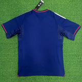 25/26 Lyon Away Fans Soccer Jersey(带广告)