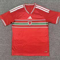 26/27  Wales Home Fans Soccer Jersey