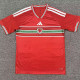 26/27  Wales Home Fans Soccer Jersey