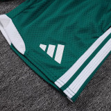 25/26 AD Green Player Version Training Short Suit#D2506