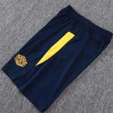 25/26 Santos FC Cyan Tank top and shorts suit#D25184