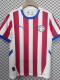 25/26 Paraguay  Home  Fans Soccer Jersey