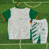 25/26 Cameroon Third  Kids Soccer Jersey