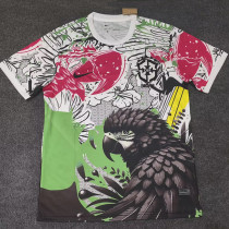 25-26 Brazil Parrot Black  Fans Soccer Jersey
