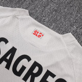 25/26 Benfica Away Player Version Soccer Jersey& Black pants