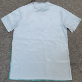 25/26 Algeria Grey Green Fans Soccer Jersey