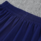 25-26 PSG Purple Blue Training vest  Suit