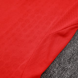 25/26 Benfica Home  Player Version Soccer Jersey& Black pants