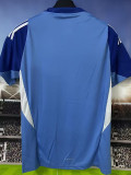 25-26 Venezuela Goalkeeper Blue Fans Soccer Jersey