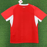 26/27 Switzerland Home Fans Soccer Jersey