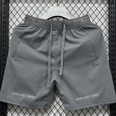 2025 3301 Grey Casual shorts