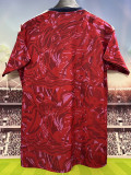 25/26 Costa Rica Home Fans Soccer Jersey