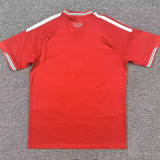 26/27  Wales Home Fans Soccer Jersey