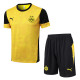 25/26 Dortmund Yellow Inkjet Training Short Suit#D25211