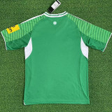 25/26 Newcastle Away   Fans  Soccer Jersey