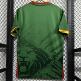25/26 Cameroon Home Fans Soccer Jersey