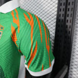 25/26 Ivory Coast Green Special Edition Player Version Soccer Jersey