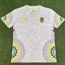 25/26 Mali White Fans Soccer Jersey