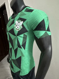 25/26  AEK FC Green   Player Version Soccer Jersey