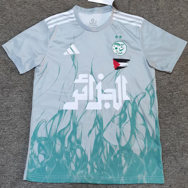 25/26 Algeria Grey Green Fans Soccer Jersey