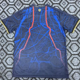 25/26 PSG Special Edition Royal Blue Fans Soccer Jersey