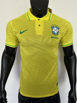 25-26 Brazil Leaf Map Special Edition  Player Version Soccer Jersey（带五星）