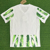 25/26 Nigeria Home  Fans Soccer Jersey