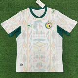 25-26 Senegal Home Fans Soccer Jersey