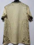 25-26 Brazil Special Edition Khaki Fans Soccer Jersey