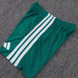 25/26 AD Green Player Version Training Short Suit#D2506