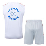 25/26 Bayern  White Retro Training Vest Suit #D25104（蓝色边）