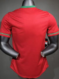 2012 Portugal Home Player Version Retro Soccer Jersey (球员)