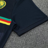 25/26  Cameroon Dark Blue Training Short Suit