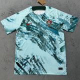 25-26 Portugal Light Green  Training shirts