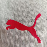 25/26 RB Salzburg Home Player Version Soccer Jersey (萨尔茨堡红牛)