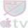 MLS +TV (专用色+章下灰TV)印左袖