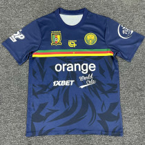 25/26 Cameroon Blue Training Shirts