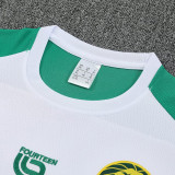 25/26  Cameroon White Training Short Suit