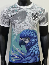 25-26 Brazil Parrot Special Edition White  Player Version Soccer Jersey